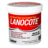 Forespar Lanocote Rust & Corrosion Solution - 16 oz.